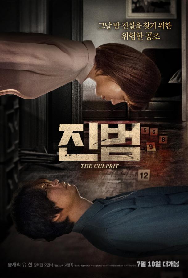 Настоящий преступник / Jinbeom (2019) 