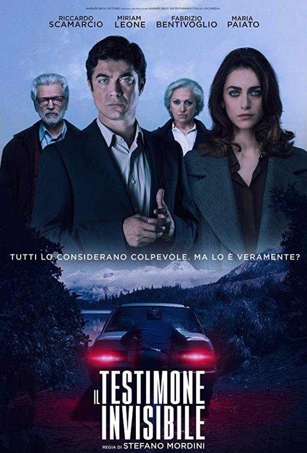 Невидимый свидетель / The Invisible Witness (2018) 