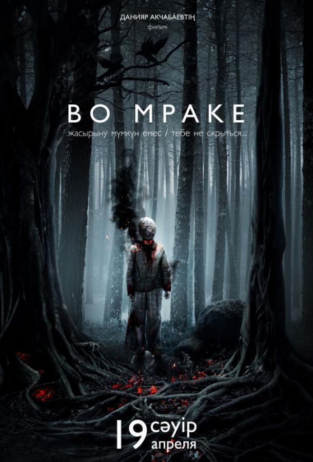 Во мраке / Vo mrake (2018) 