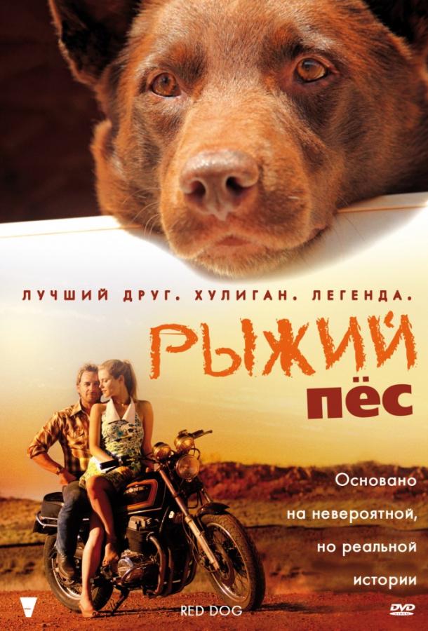 Рыжий пес / Red Dog (2011) 