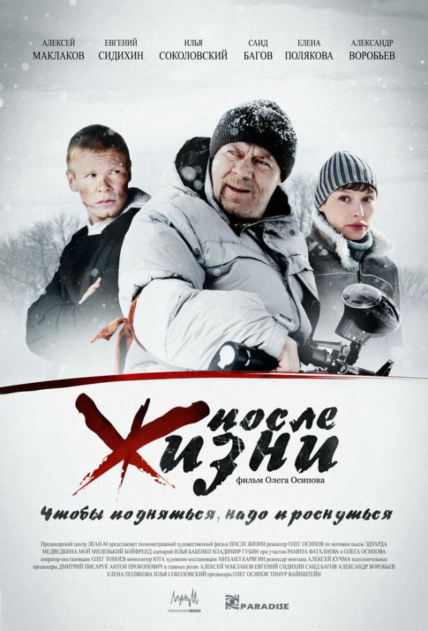 После жизни (2008) 