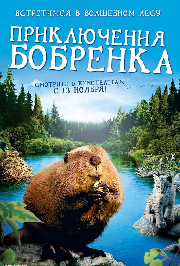 Приключения бобрёнка / Meche Blanche, les aventures du petit castor (2008) 