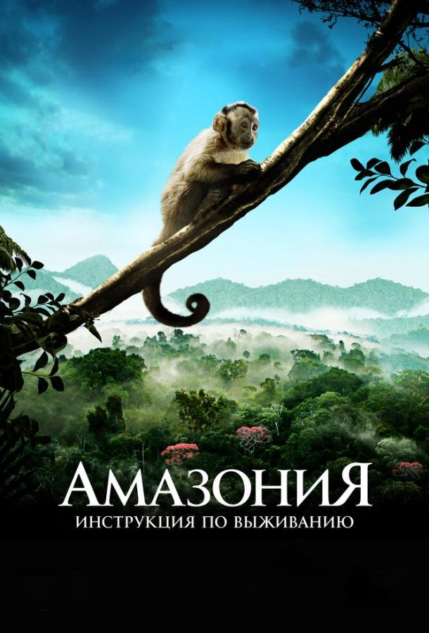 Амазония: Инструкция по выживанию / Amazonia (2013) 