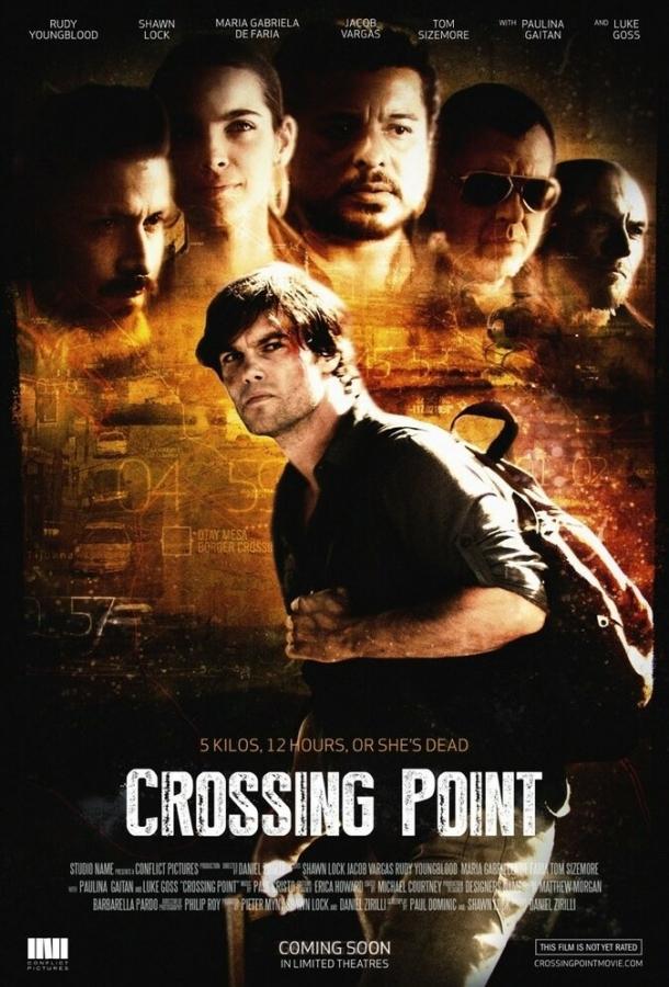 Точка невозврата / Crossing Point (2016) 