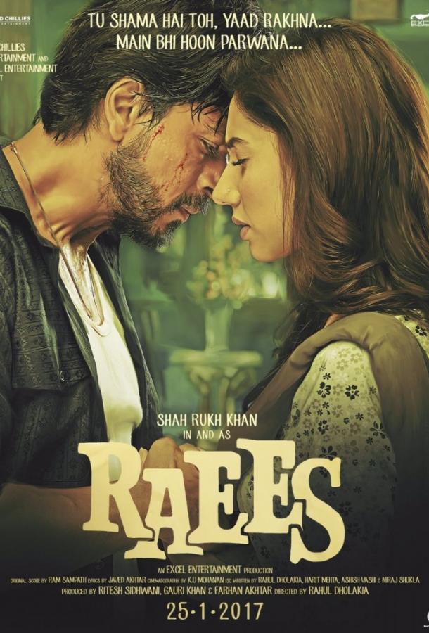 Богатей / Raees (2017) 