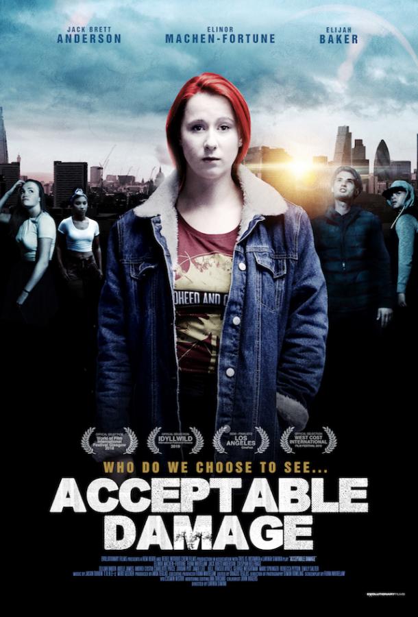 Допустимый ущерб / Acceptable Damage (2019) 