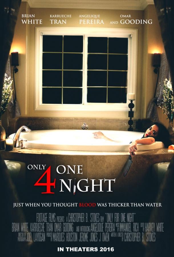 Только на одну ночь / Only for One Night (2016) 