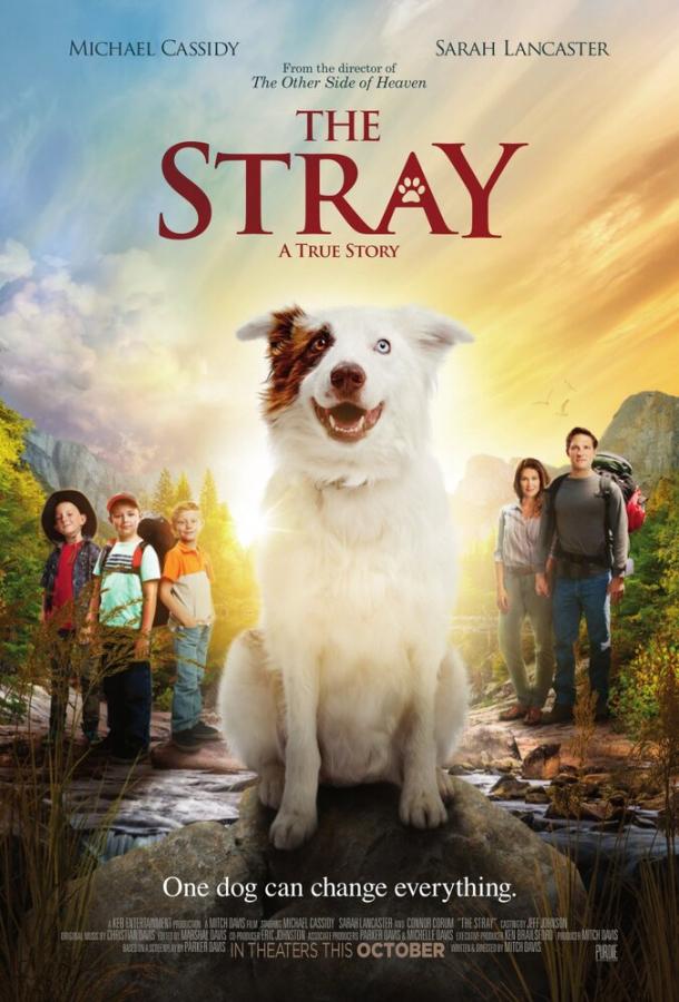 Бродячий / The Stray (2017) 