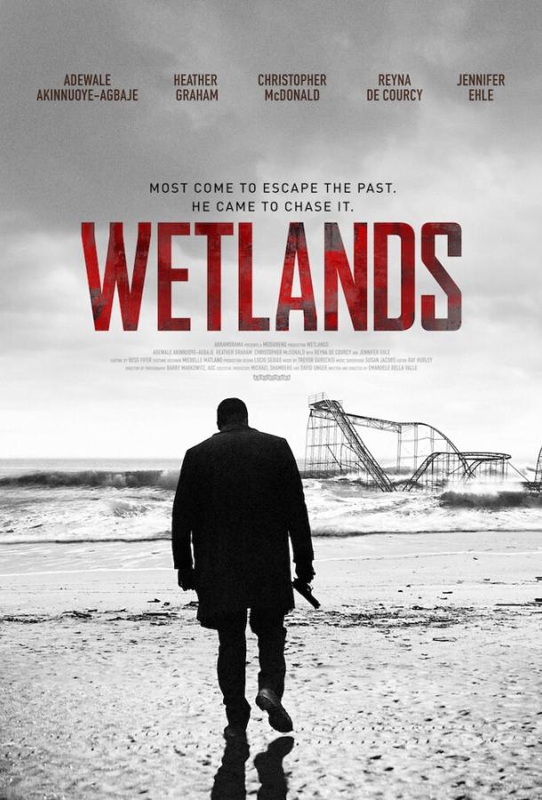 Болота / Wetlands (2017) 