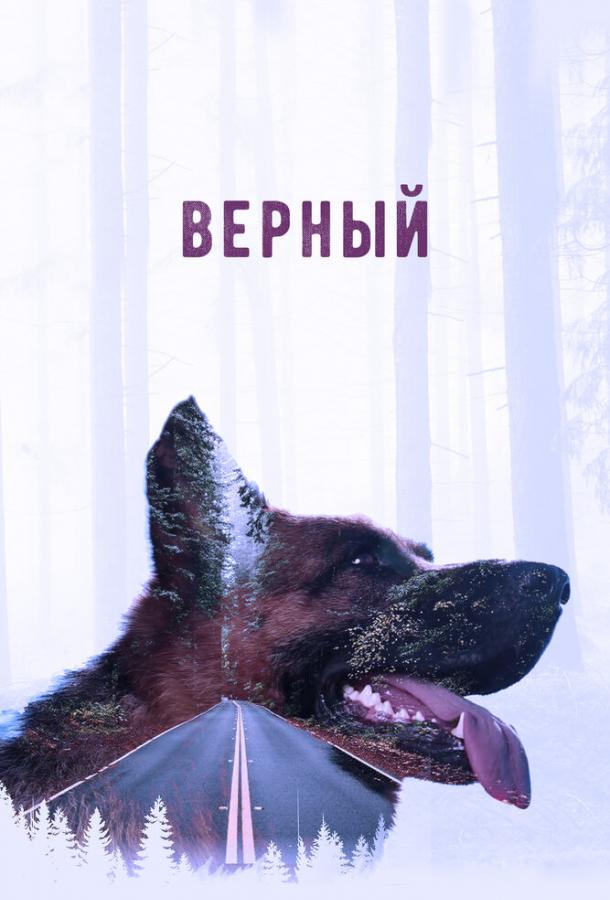 Верный (2016) 