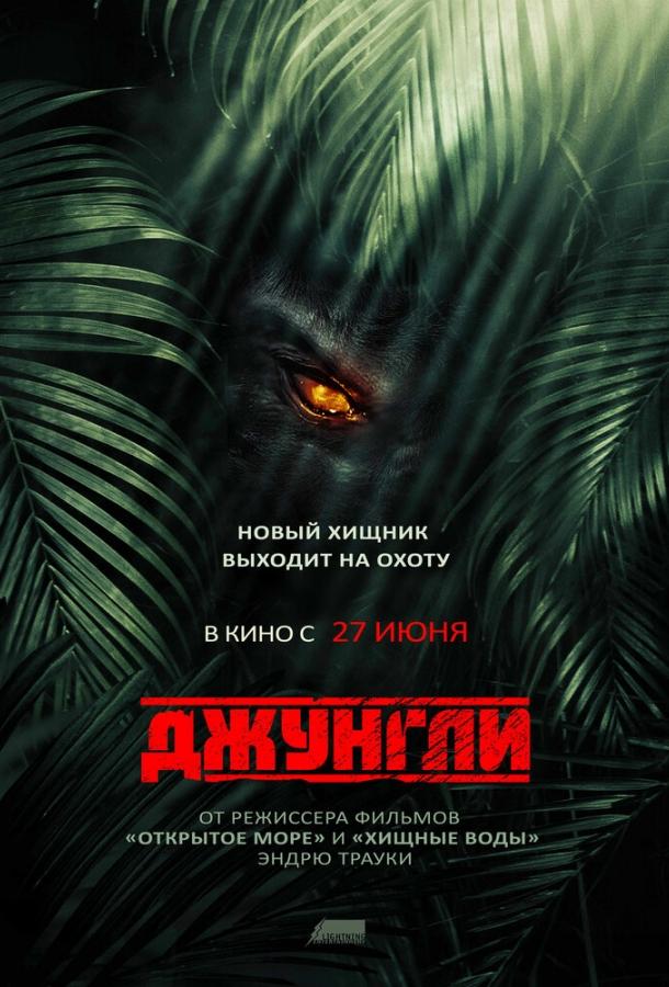 Джунгли / The Jungle (2013) 