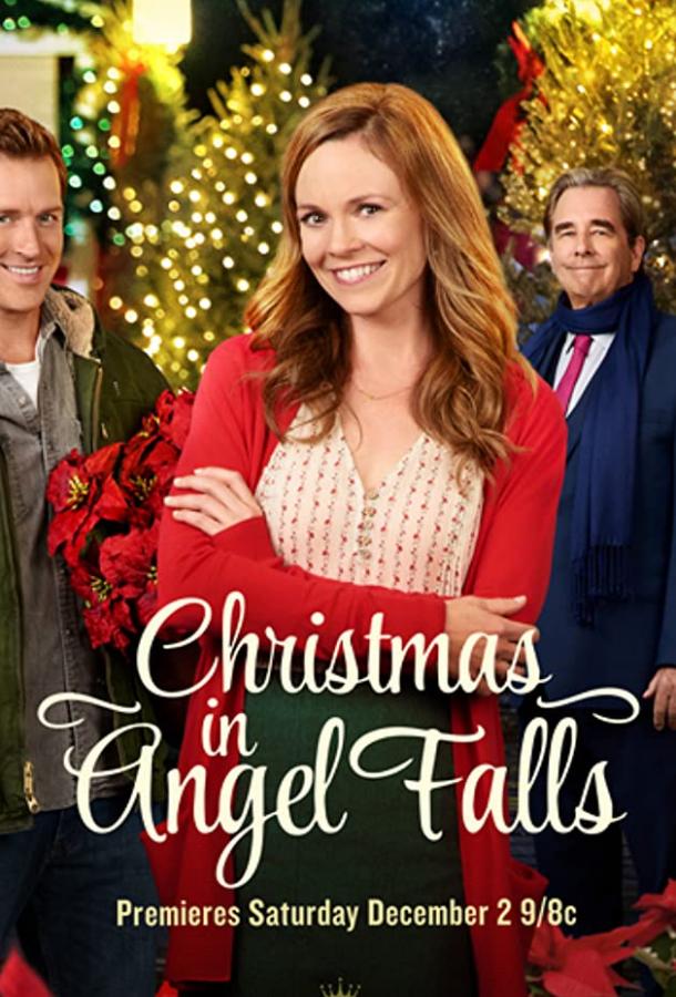 Christmas in Angel Falls (ТВ) (2017) 